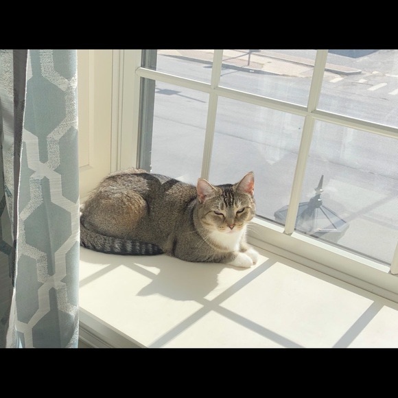 Shop with me! Offers welcome & encouraged! - Picture 2 of 3